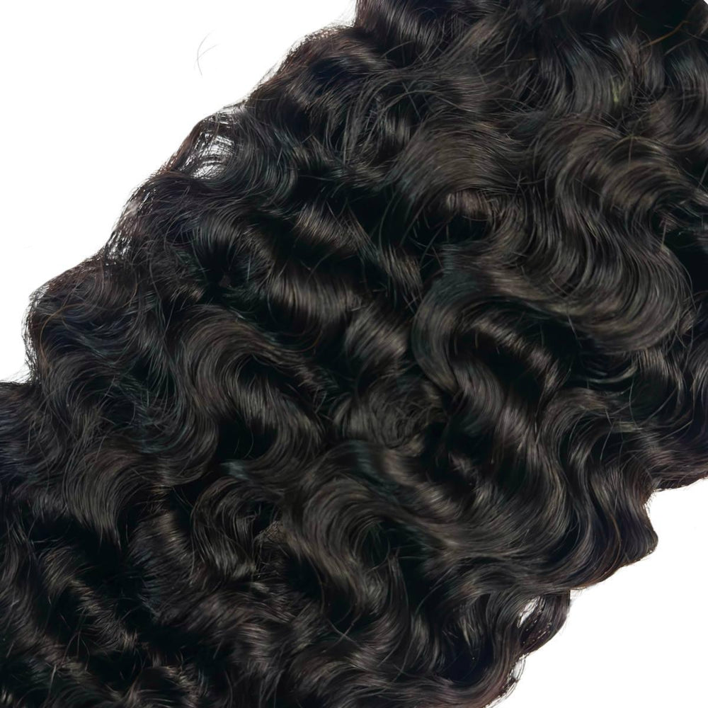 Burmese Curly